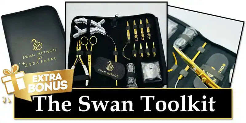 The Swan Toolkit